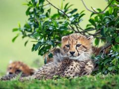 -罗红摄影艺术馆