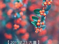 -中影国际影城(大唐西市4K临境音店)