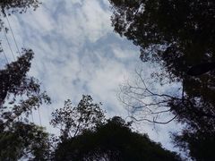 -广州市帽峰山景区