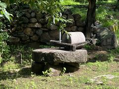 -大岭沟猕猴桃谷风景区