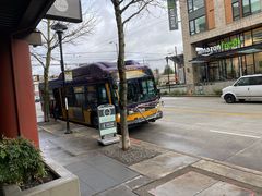 -Seattle Fish Guys