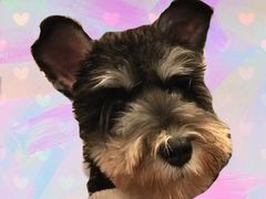 -喔爸韩国料理(环球银泰城店)