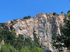 -西霞口神雕山野生动物世界