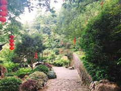 -杭州西湖风景名胜区-三生石