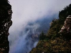 -牛背梁国家森林公园