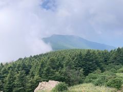 -白草畔自然风景区