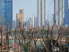 -后襄河公园