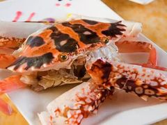 -海大大蒸汽海鲜餐厅·粤菜·特色小炒(欢乐颂店)