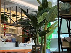 -青山上品咖啡·日式法兰绒手冲(高岛屋百货店)