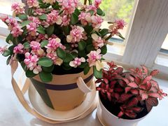 -鹿岛会员店 (龙湖三千集天街店)