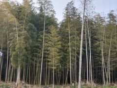 -南北湖风景区