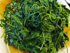草头-阿东农家菜(新场古镇下塘街店)