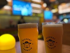 -猫员外精酿啤酒馆(国速荟店)