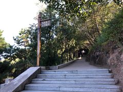 -磬锤峰森林公园