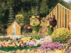 -上海共青森林公园