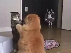 -豫楚源美猴王·面(武商广场店)