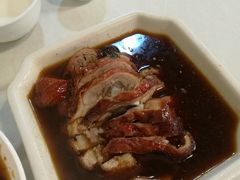 -蒲氏烤鸭(百寿路店)
