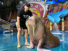 -烟台海昌鲸鲨海洋公园