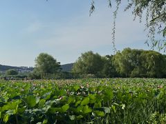 -云龙湖旅游景区