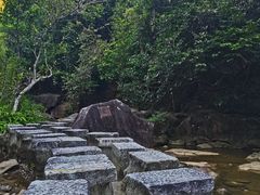 -广州白江湖森林公园