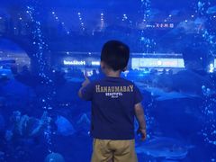 -成都浩海立方海洋公园