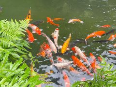 -国恩寺