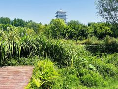 -Supine Bistro溯泮餐厅