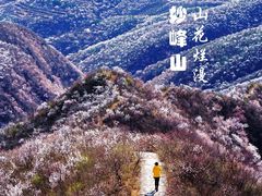 -妙峰山风景名胜区