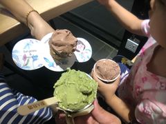 -野人先生现做冰淇淋(北京顺义祥云小镇店)