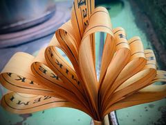 -美滋每客(亲贤北街店)