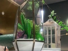 -青花椒花椒鱼(合生汇店)