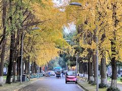 -四川大学(望江校区)