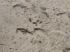 -东寨港红树林旅游区