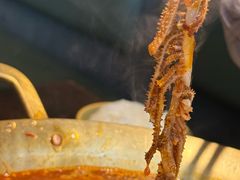 -张翻越·川渝冒菜·武汉黑鸭煲(城北万象城店)