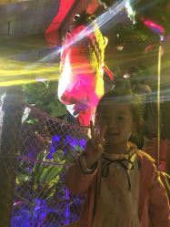 -恐龙探索乐园(磁器口店)