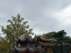 -上海东林寺(金山区)