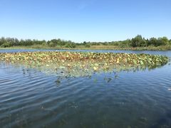 -溱湖国家湿地公园