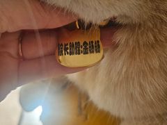 -派联宠物医院·24h·CT·异宠
