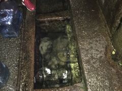 -白沙古井