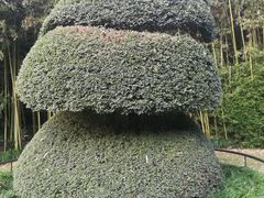 -苏州河梦清园环保主题公园