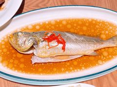 油泼黄花鱼-波螺油子青岛本帮菜(银座店)