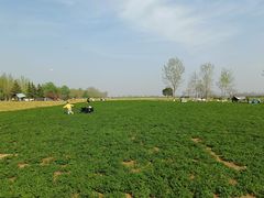 -汉长安城未央宫国家考古遗址公园