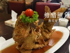 -老牌坊鲁菜名店(宽厚里店)