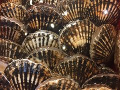 -79号渔船海鲜饭店(华强北店)