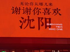 -沈阳铁西万象汇
