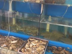 水产区-1910老鲁味海鲜·戳子肉·青岛菜(金沙滩店)