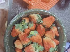 -家辉生鲜超市(东五路店)