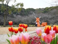 -苏州上方山国家森林公园