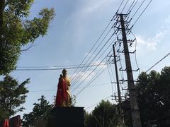 -张醪糟