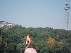 -食膳公园包子铺(烈士公园店)